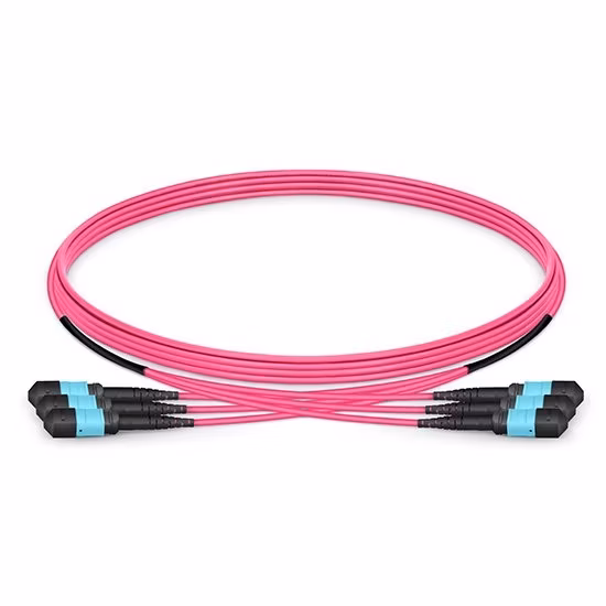 Fiber Optical Optic Patch Cord MTP Female to Female 12 Fibers Om4 (OM3) 50125 Multimode Trunk Cable