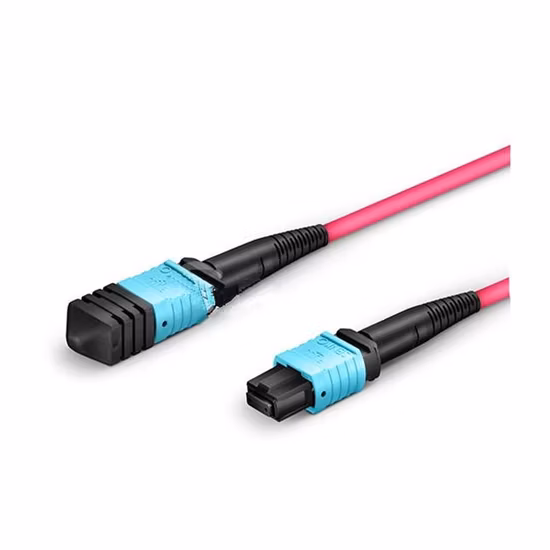 Fiber Optical Optic Patch Cord MTP Female to Female 12 Fibers Om4 (OM3) 50125 Multimode Trunk Cable